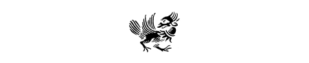 Little Bird