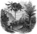 fazenda, farm engraving