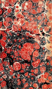 red, light orange and black spotted marbled endpaper