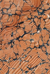 brown, black and white rippled marbled endpaper