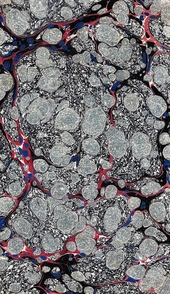 black, white, blue and red spotted marbled endpaper