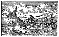 whaling engraving