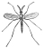 Gnat engraving