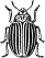 Potato Bug engraving