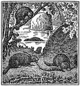 beaver engraving