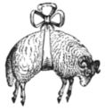 Sheep engraving