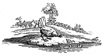 chicken engraving