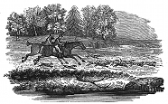 foxhunt engraving