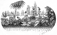 garden engraving