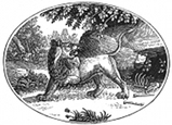 lion engraving