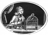 nightingale engraving