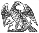 phoenix engraving