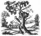 spring engraving