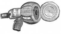 anatomy, eyeball engraving