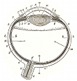 anatomy, eyeball engraving