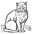 sitting cat engraving