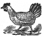 primer hen engraving