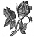 primer rose engraving