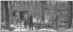 winter, sugar bush engraving