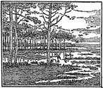 wetlands engraving